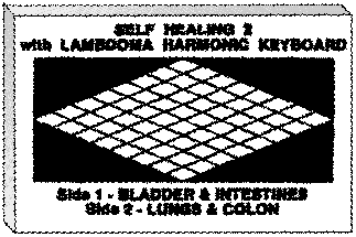 Illustration of Tape Cassette