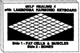 Illustration of Tape Cassette
