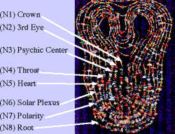 Image of Lambdoma Necklaces